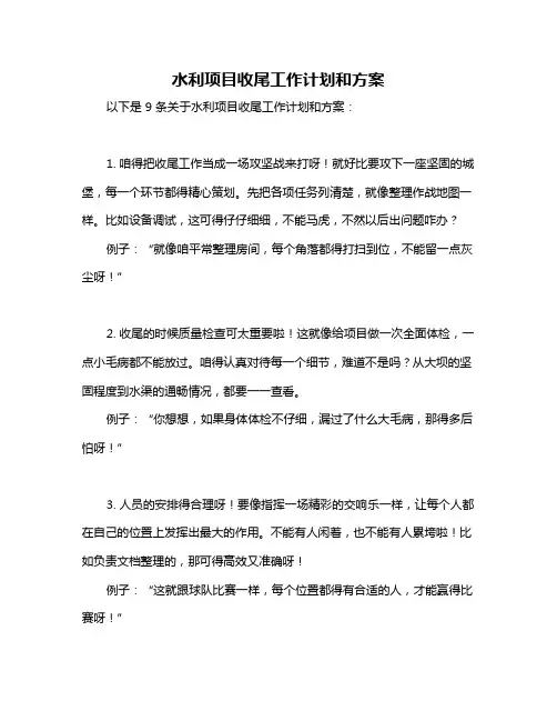 水利项目收尾工作计划和方案