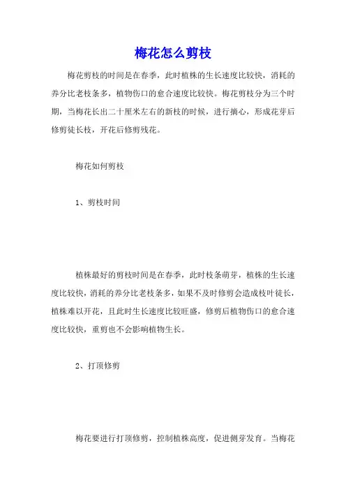 梅花怎么剪枝