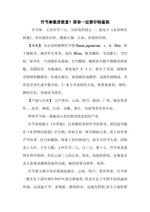 竹节参脱贫致富？那你一定要仔细鉴别