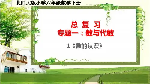 北师大版六年级数学下册(总复习)专题一：数与代数1《数的认识》课件