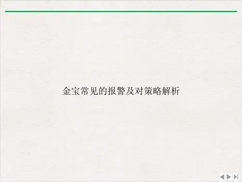金宝常见的报警及对策略解析ppt新版