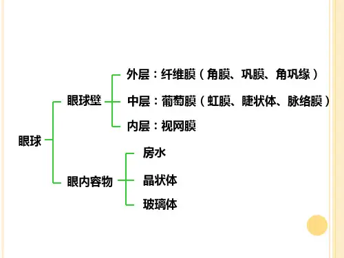 眼球的解剖与生理专家讲座