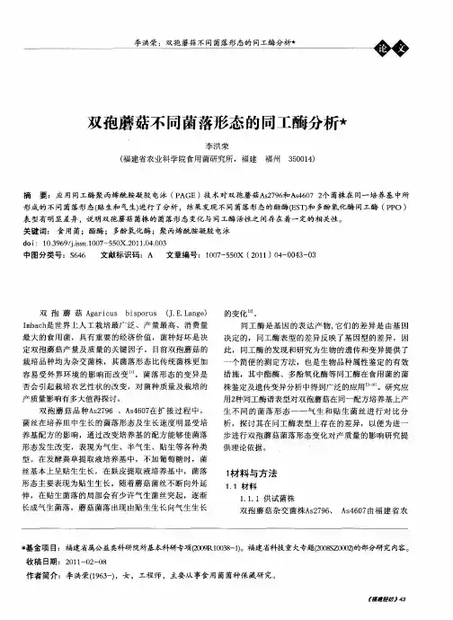 双孢蘑菇不同菌落形态的同工酶分析