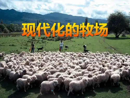 《现代化的牧场》各具特色的区域生活PPT 图文