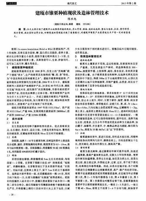 建瓯市锥栗种植现状及造林管理技术