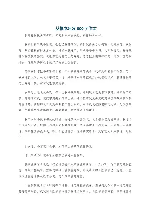 从根本出发800字作文