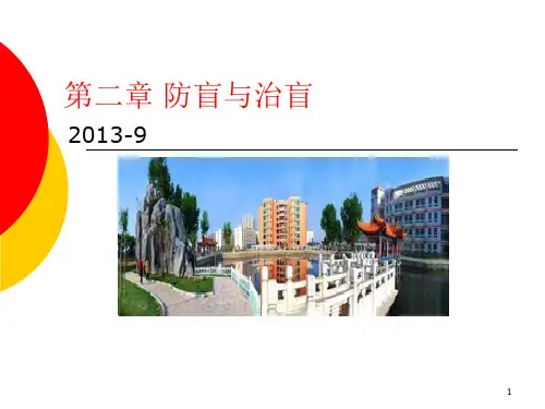 第二章防盲治盲PPT课件