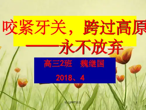 高三励志主题班会“永不放弃”ppt课件59296PPT课件