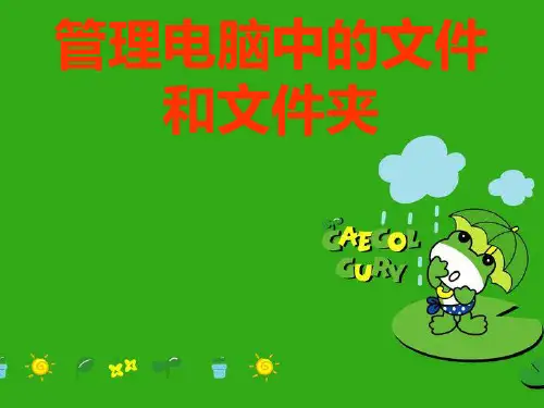如何管理电脑中的文件与文件夹(ppt 16页)