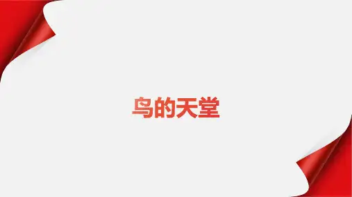 22 鸟的天堂 课件(21张PPT)
