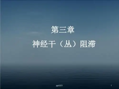 神经干(丛)阻滞  ppt课件