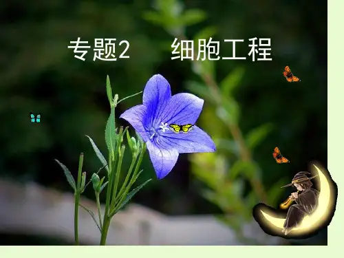 细胞工程优秀课件