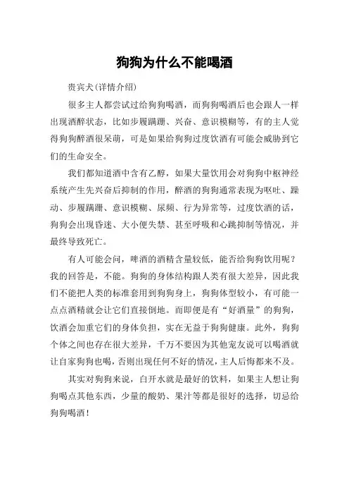 狗狗为什么不能喝酒