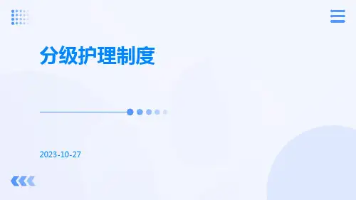 分级护理制度ppt