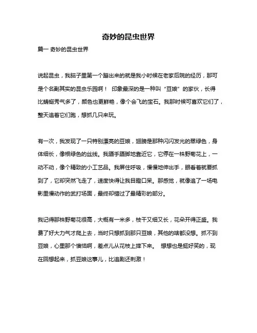 作文《奇妙的昆虫世界》