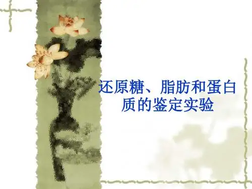 蛋白质糖类脂质的实验鉴定