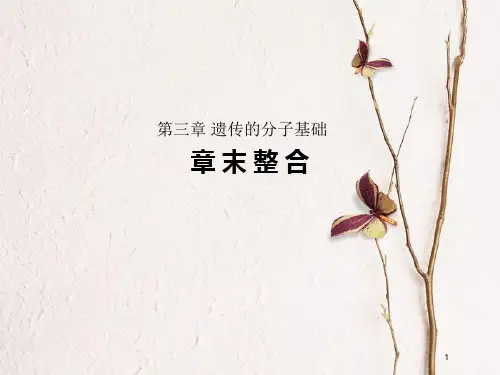 高中生物 第三章 遗传的分子基础章末整合同步备课课件 浙科版必修2.pptx