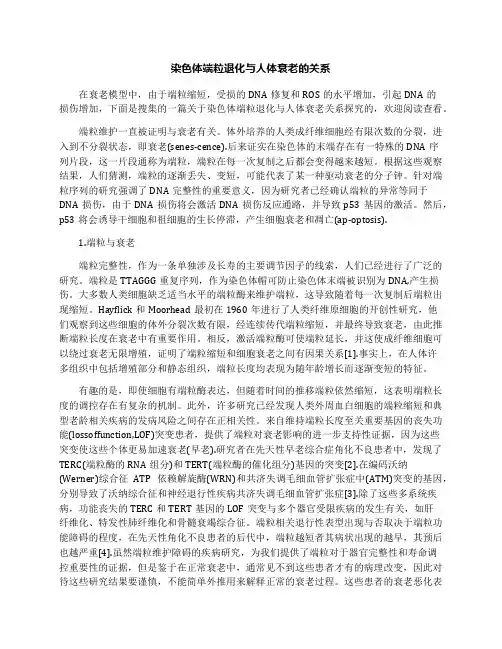 染色体端粒退化与人体衰老的关系