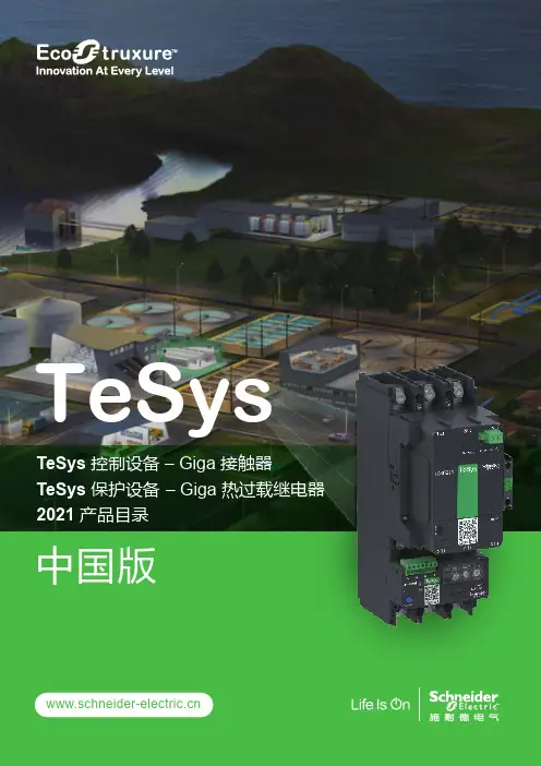 施耐德电气TeSys Giga系列控制设备与保护设备产品目录说明书