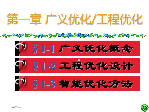 第一节广义优化