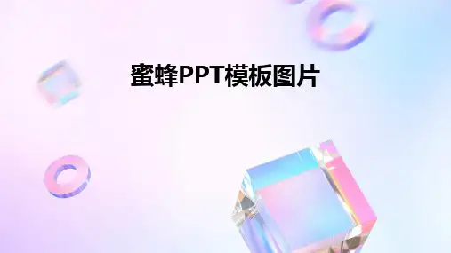 蜜蜂PPT模板图片