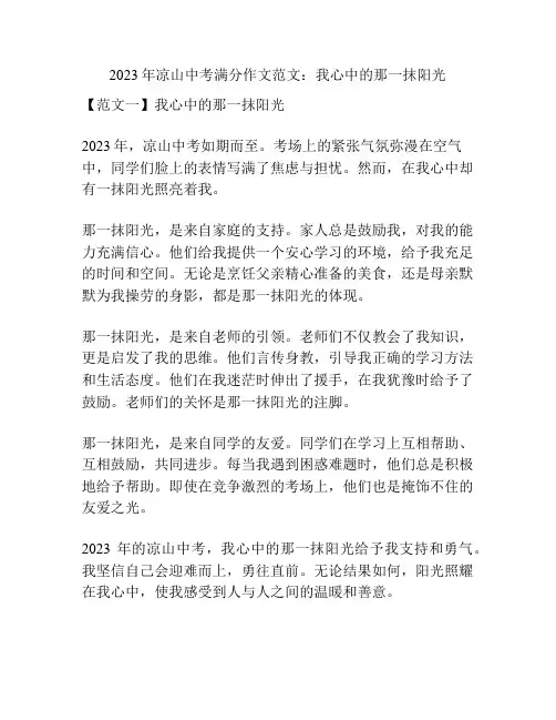 2023年凉山中考满分作文范文：我心中的那一抹阳光