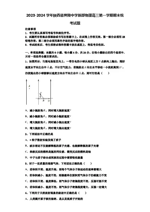 2023-2024学年陕西省黄陵中学新部物理高三第一学期期末统考试题含解析