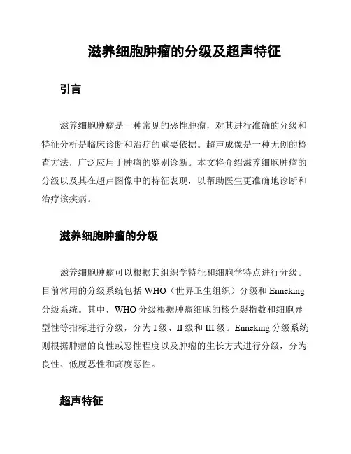 滋养细胞肿瘤的分级及超声特征