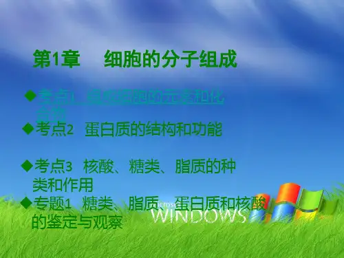 2020年(新高考)生物大复习课件 第1章  细胞的分子组成