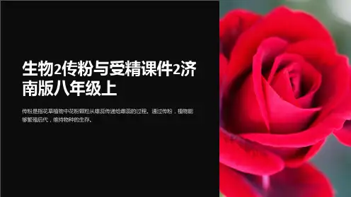 生物2传粉与受精课件2济南版八年级上