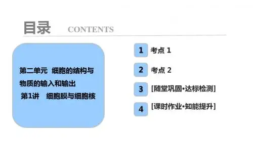 高考生物大一轮复习第二单元细胞的结构与物质的输入和输出第1讲细胞膜与细胞核课件