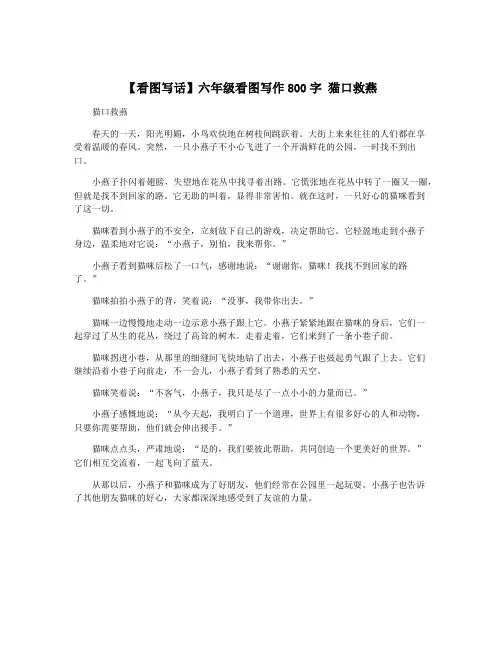 【看图写话】六年级看图写作800字 猫口救燕