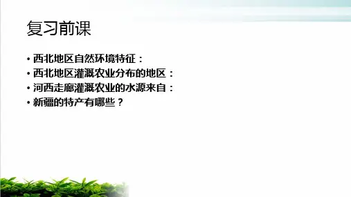 新人教版八年级地理第二节干旱的宝地——塔里木盆地课件共PPT完整版
