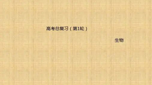 高考生物一轮复习 专题四 4 从杂交育种到基因工程名师课件 新人教版必修2