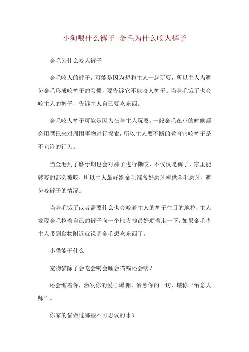 小狗喂什么裤子-金毛为什么咬人裤子