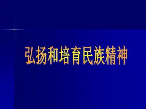 《第14课  民族之魂课件》初中思想品德首师大课标版第三册八年级上册课件63956.ppt
