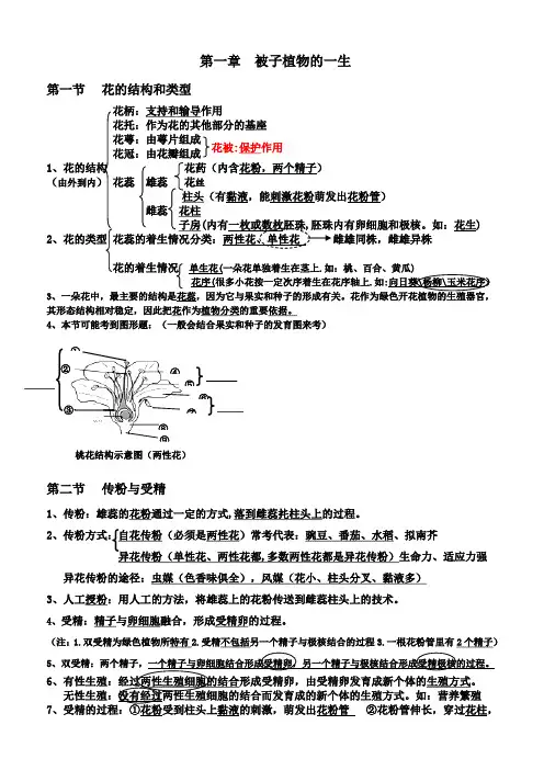 第一章  被子植物的一生复习提纲1