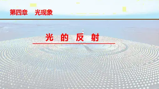 第四章第2节 光的反射(2024人教版)