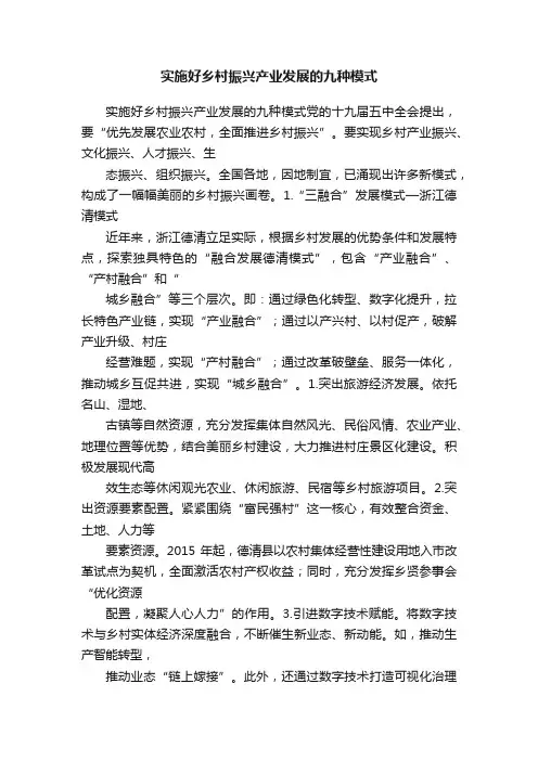 实施好乡村振兴产业发展的九种模式