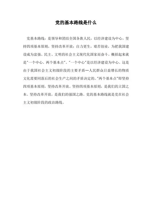 党的基本路线是什么