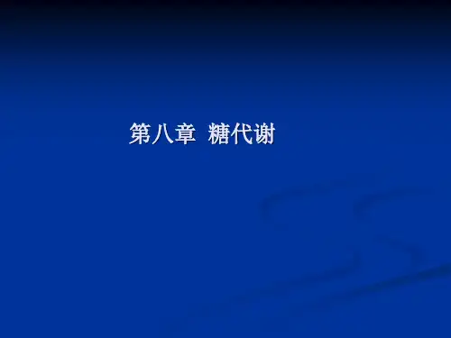 第八章  糖代谢-精选文档83页