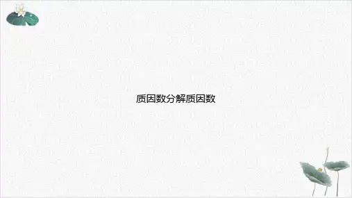 质因数分解质因数PPT.