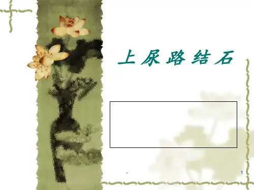 上尿路结石PPT课件