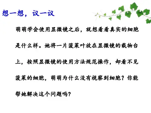 人教版 生物 七年级 上册 第二单元 第一章 第二节 植物细胞课件