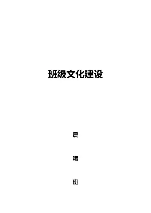 晨曦班班级文化建设