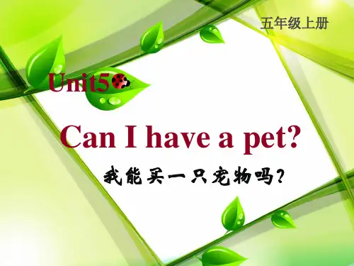五年级上英语课件-unit 5 can I have a pet_湘少版