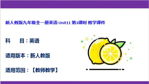 新人教版九年级全一册英语 Unit11 第3课时 教学课件