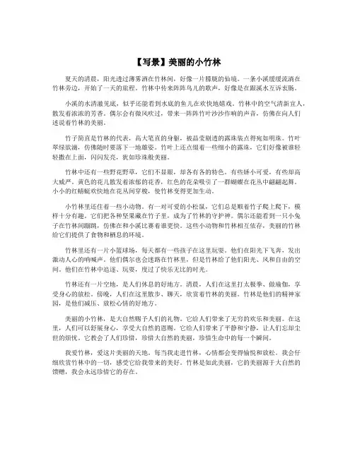 【写景】美丽的小竹林