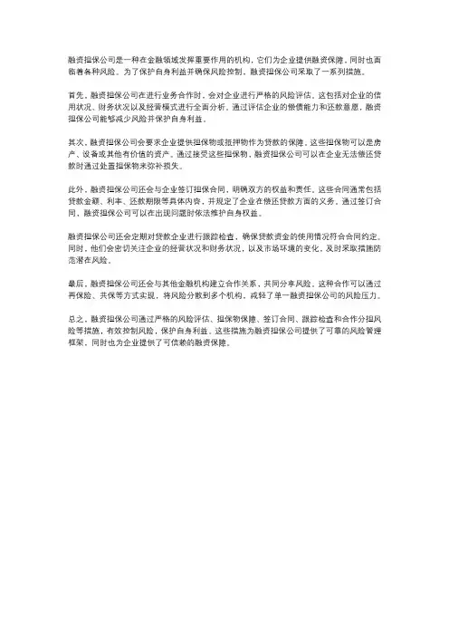 融资担保公司风险控制措施