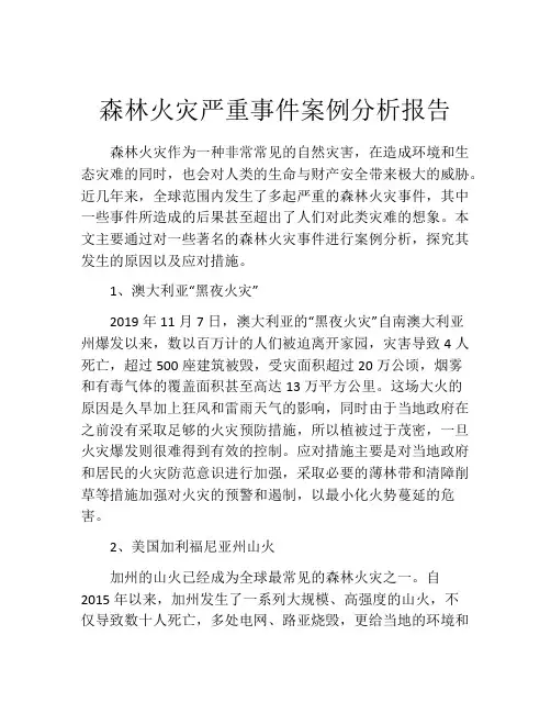 森林火灾严重事件案例分析报告